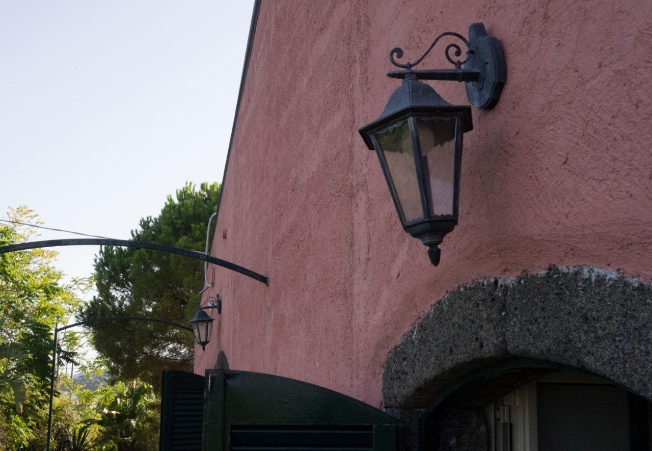 Apartament Il Palmento Di Beppe Santa Tecla Zewnętrze zdjęcie